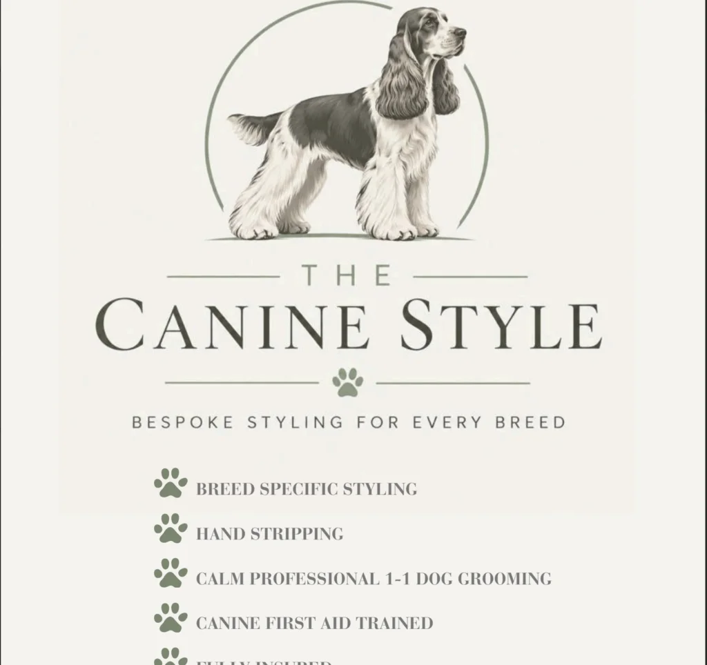 The Canine Style case study